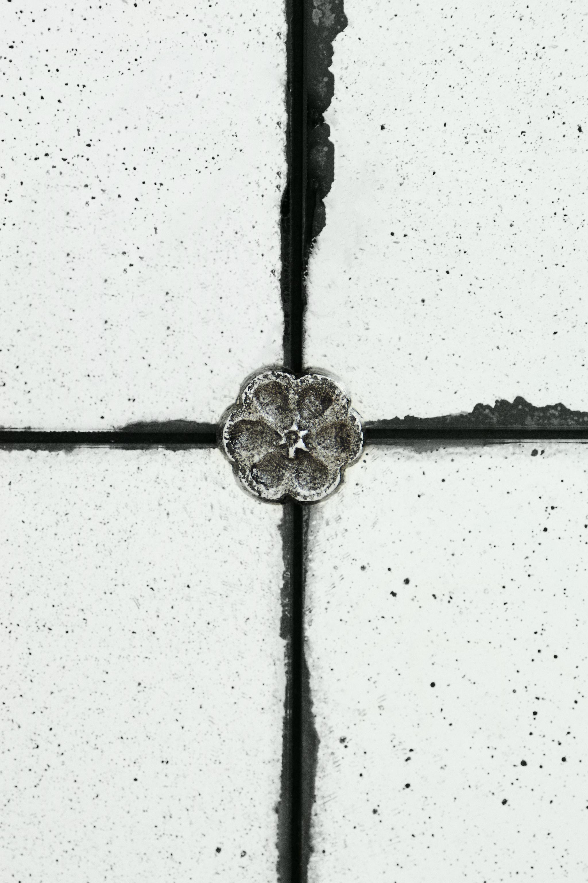 Antique-Finish Wall Mirror with Floral Frame Detail