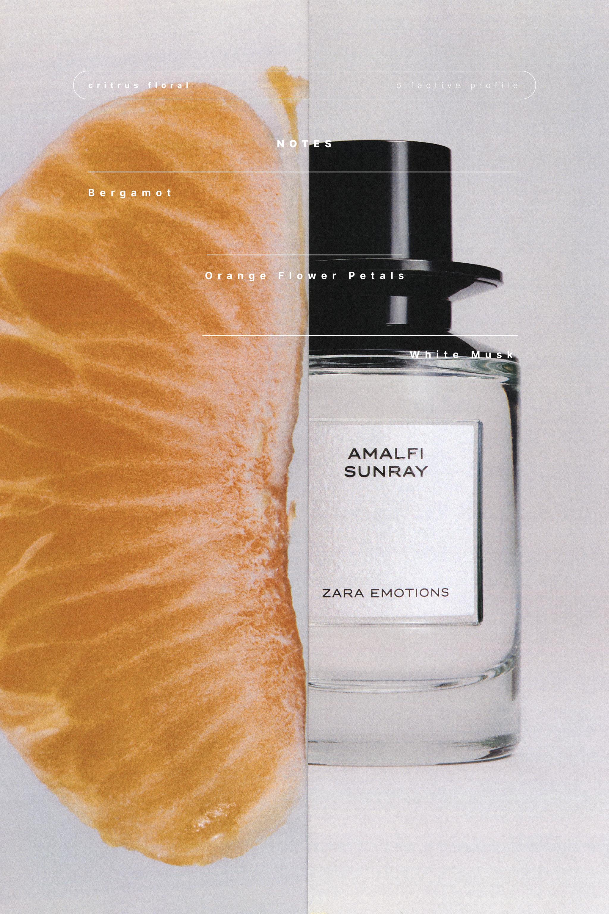 AMALFI SUNRAY EDP 100ML (3.4 FL.OZ). | ZARA Cambodia