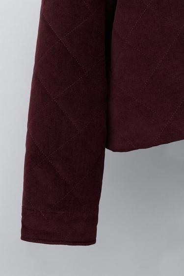 BLOUSON EN VELOURS AVEC COL CLAUDINE - Bordeaux de Zara - Image 5