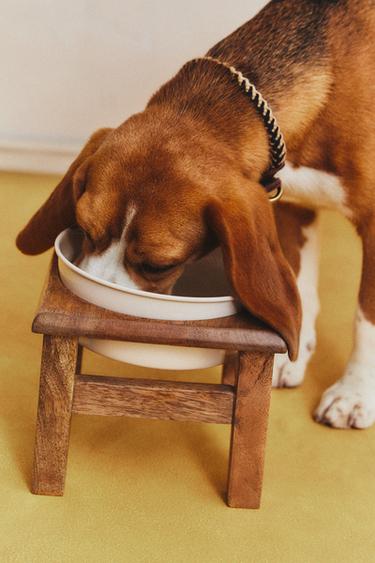 PET FOOD BOWL WITH STAND - Brown by Zara