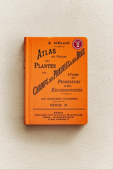 ATLAS DE POCHE DES PLANTES CHAMPS, DES PRAIRIES ET DES BOIS SÉR 2 BOOK - Tangerine by Zara - Image 5