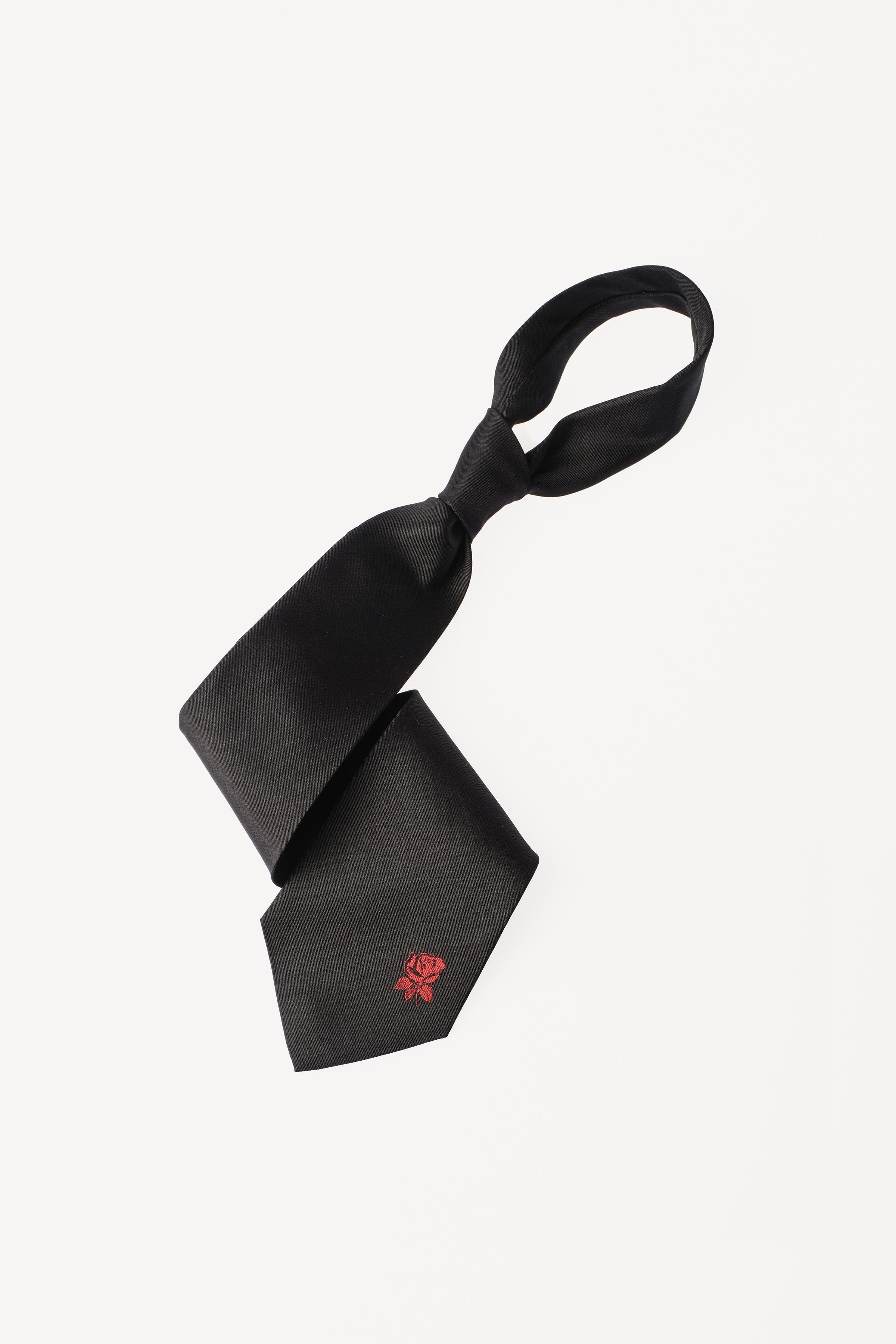 100% SILK EMBROIDERED TIE WILLY CHAVARRIA X ZARA - Sky blue | ZARA