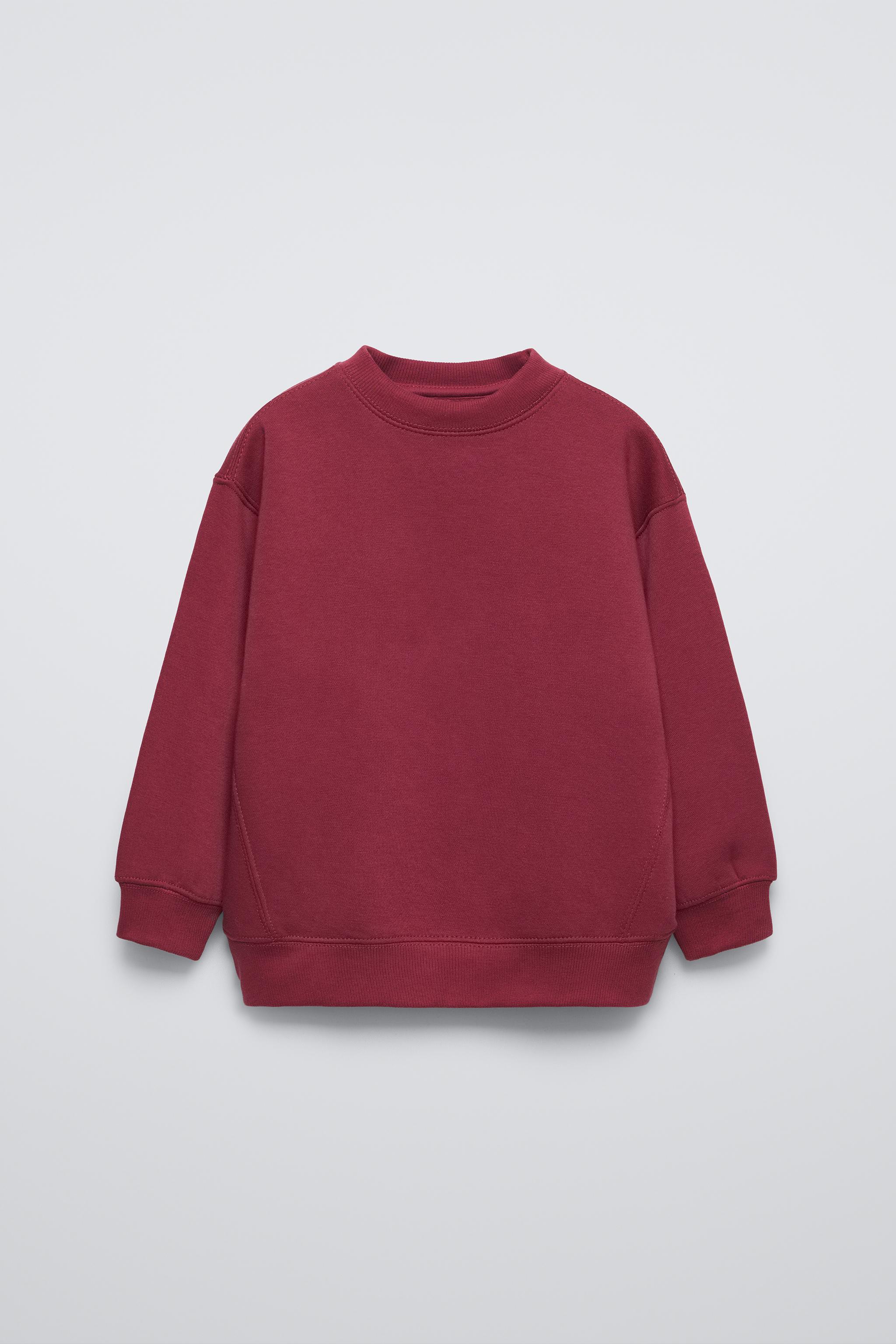 Basic sweatshirt zara hotsell