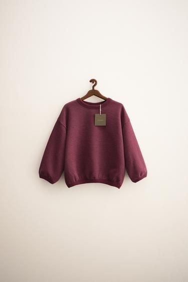 ZARA TIMELESS - سويت شيرت بخطوط رفيعة - عقيقي داكن الخاص بـ Zara