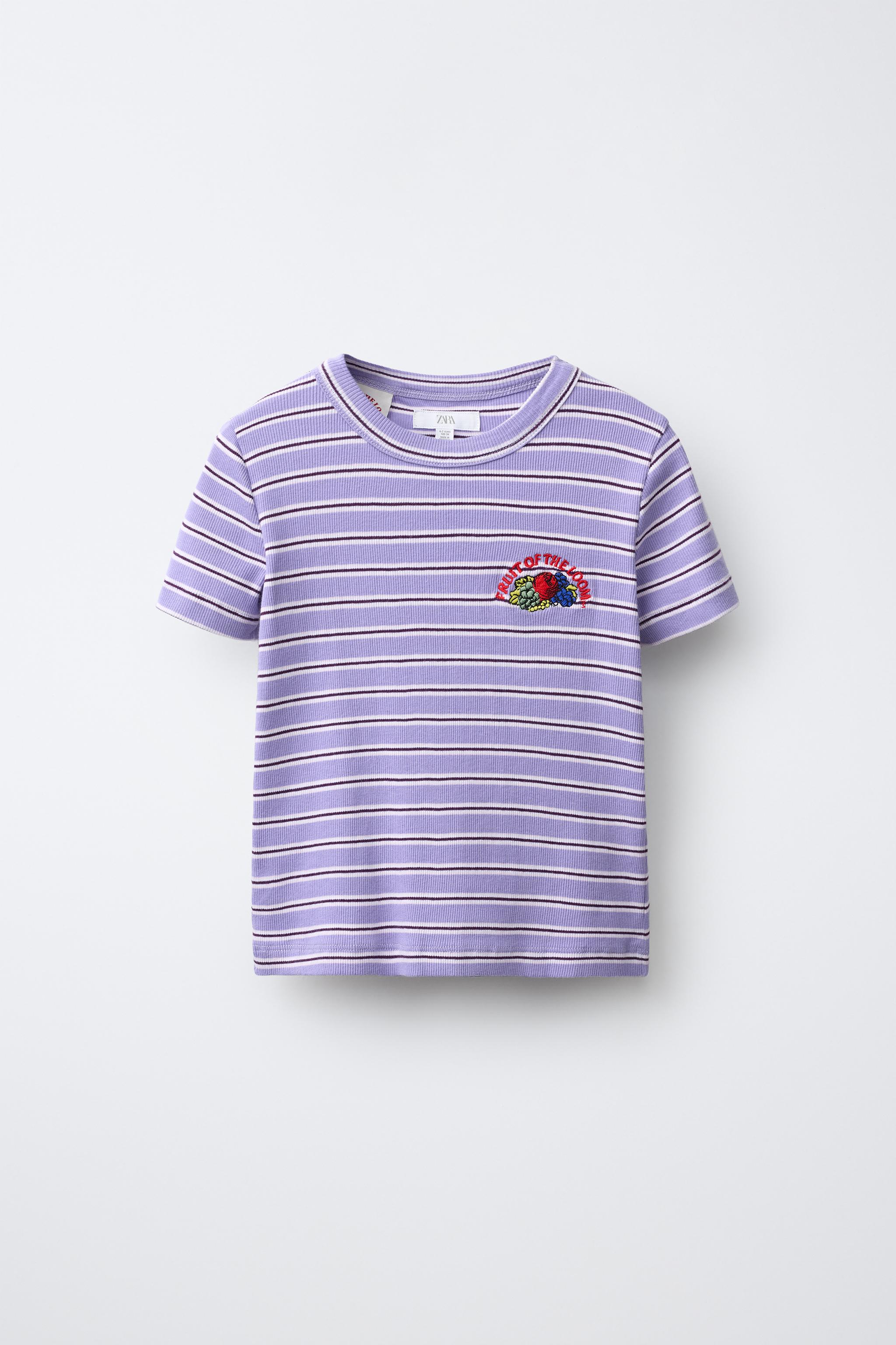 ストライプ柄 Tシャツ Fruit of the Loom™ - パープル | ZARA Japan / 日本