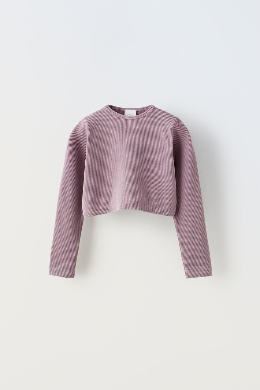 Lilac Ribbed Seamless Scoop Neck Crop Tee 