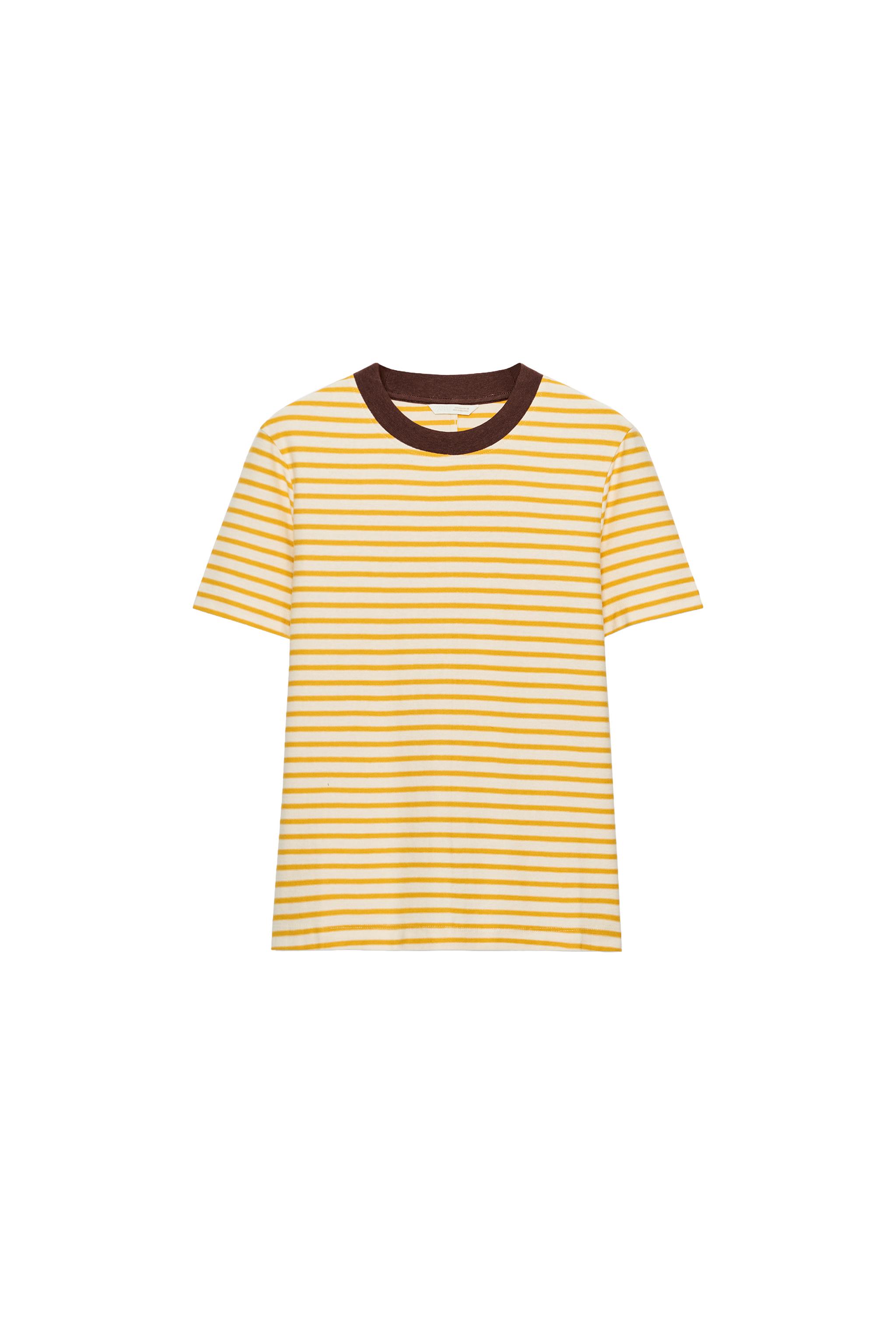 SHORT SLEEVE STRIPED T-SHIRT - Printed | ZARA United States