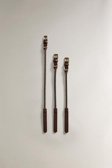 ΛΟΥΡΙ ΛΟΥΡΙ ΧΡΩΜΑΤΙΣΤΟ ΣΚΥΛΟΥΣ - Μπλε του Zara - Εικόνα 0