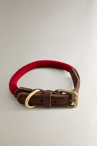 COLLIER CORDE CUIR CHIENS - Rouge de Zara - Image 5