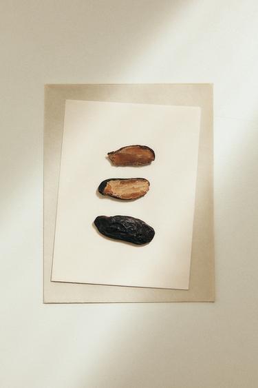 TONKA OBSESSION EDP 50ML / 1.7 oz -  by Zara - Image 0