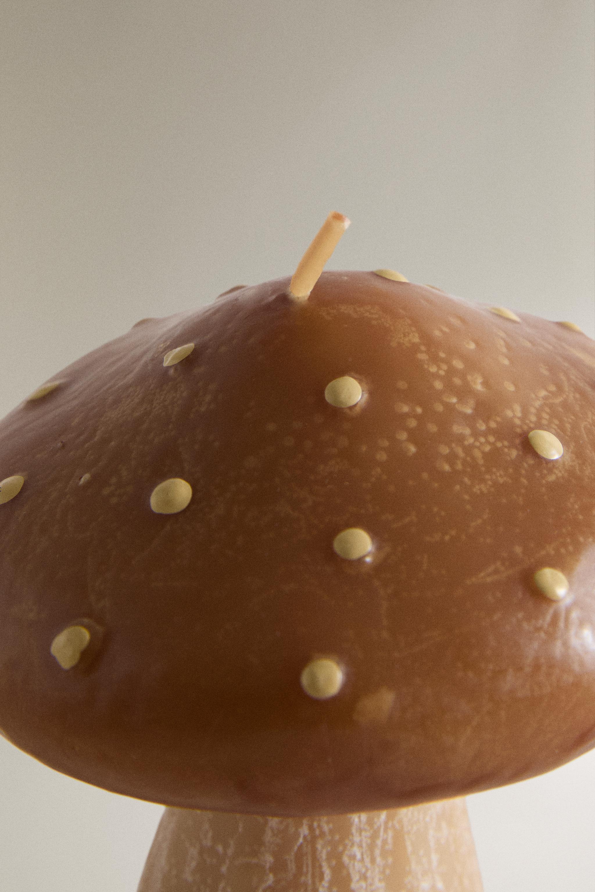 SMALL PUMPKIN SPICE MUSHROOM SCENTED CANDLE