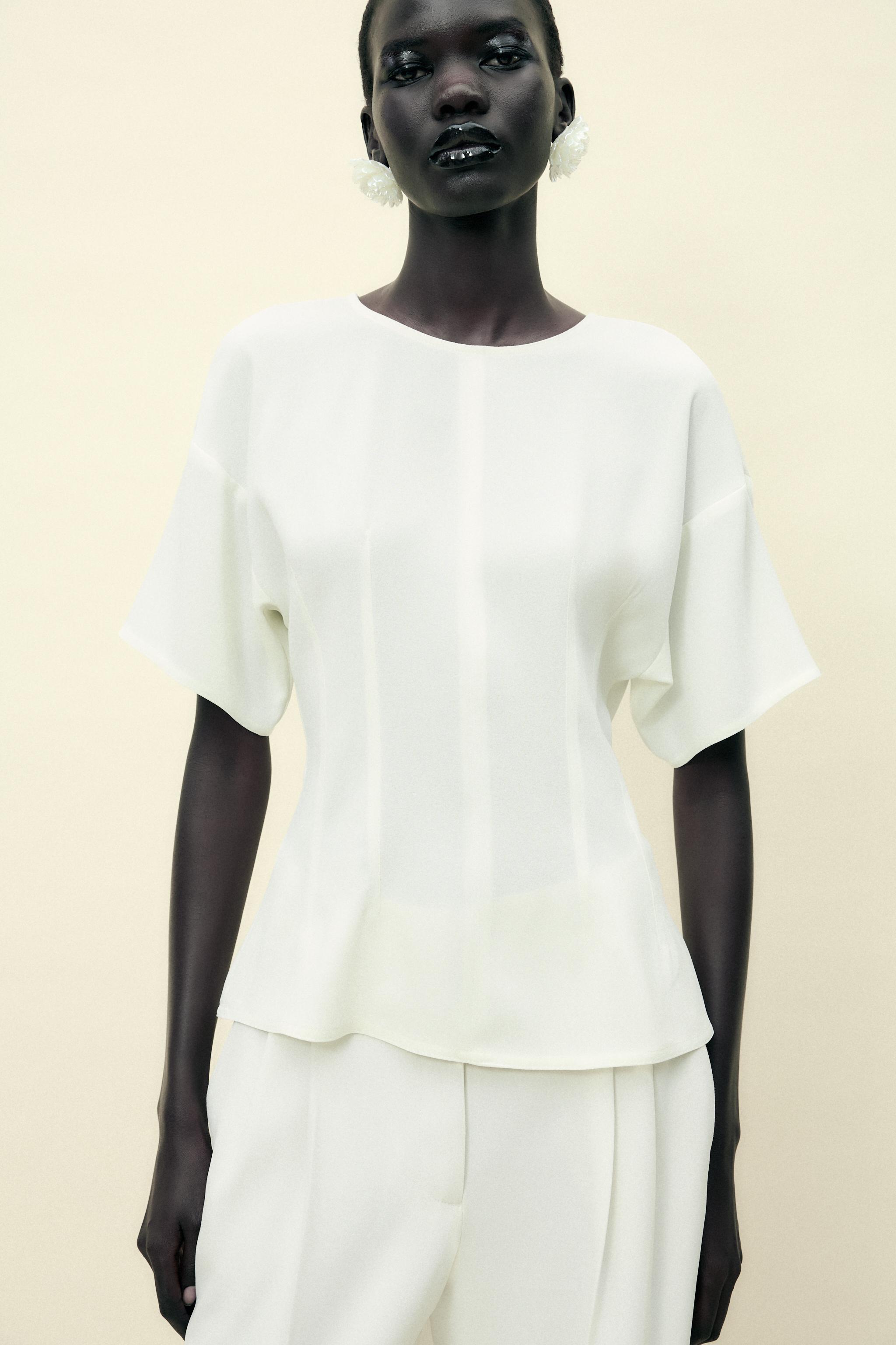 zara transparent blouse