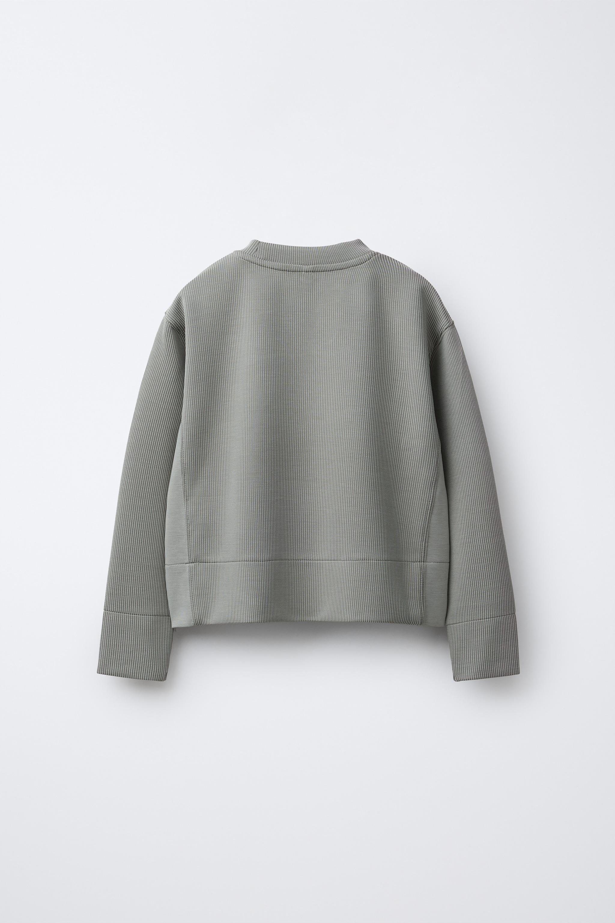 RIB TEXT SWEATSHIRT WITH MODAL - Gray | ZARA United States