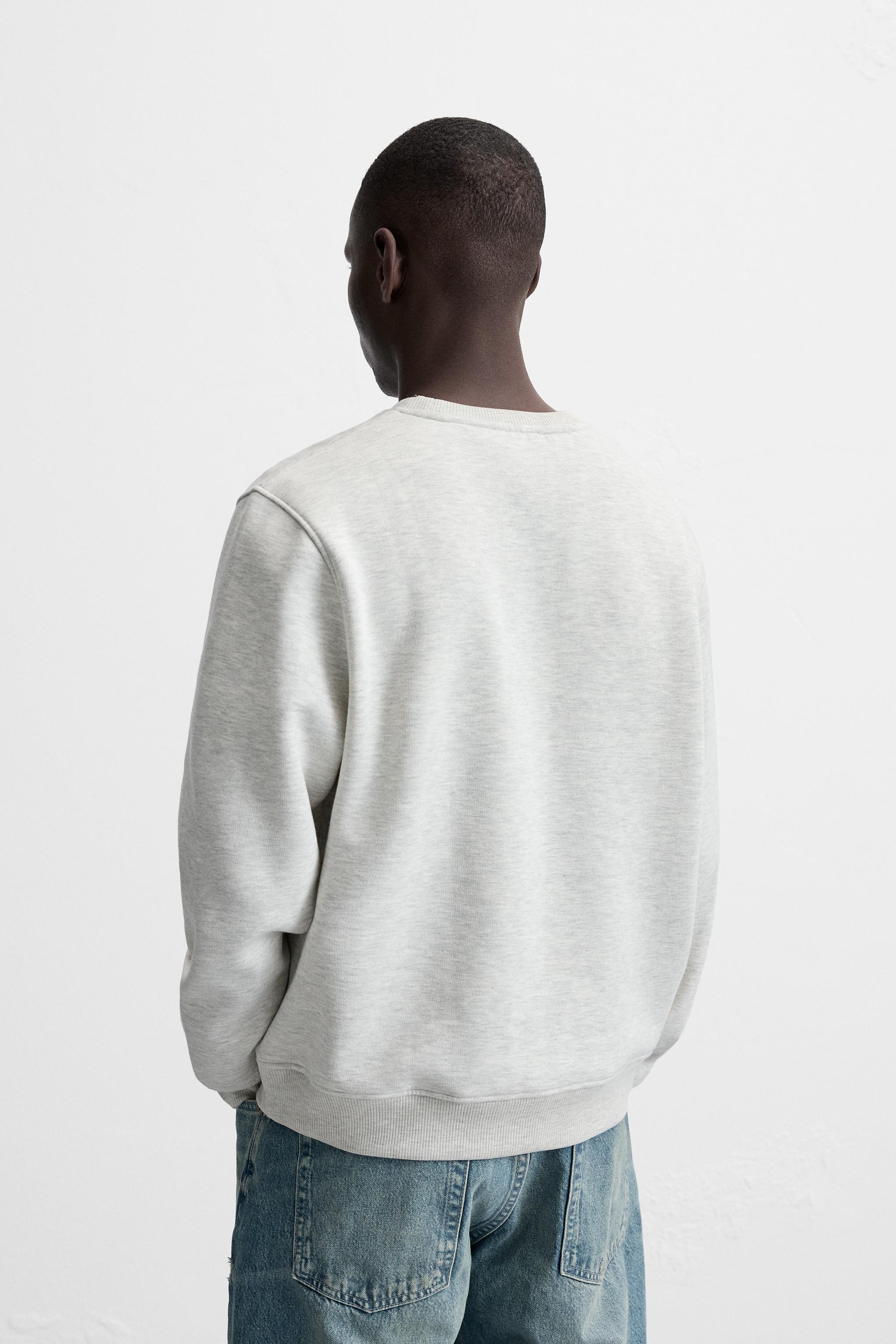 Champion sweater grey crew neck zara best sale