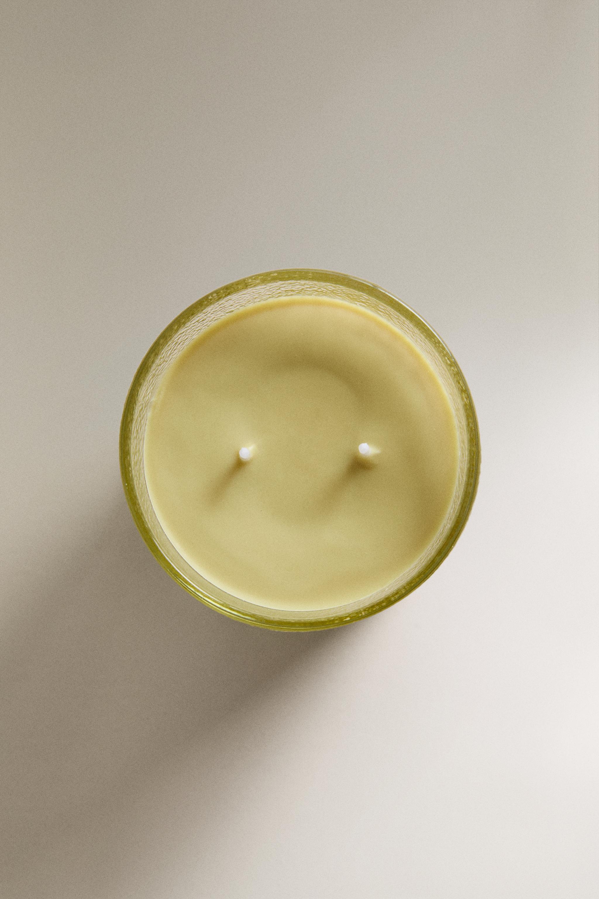 (310 G) VETIVER MELON SCENTED CANDLE