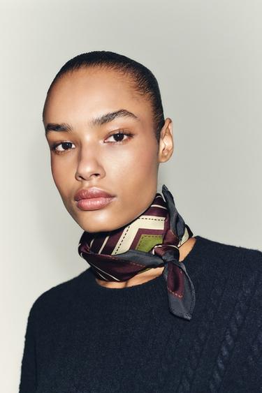 STRIPED PRINT SCARF - Aubergine by Zara