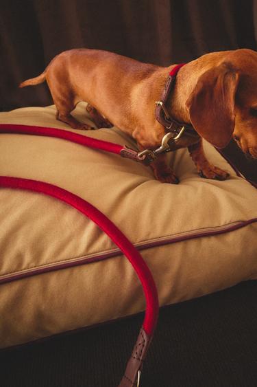 LEATHER AND ROPE DOG LEAD - Red by Zara