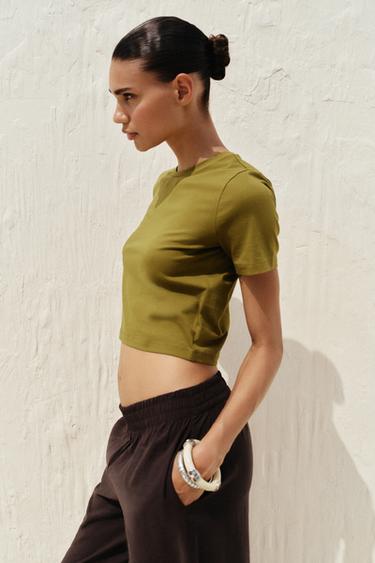 PLAYERA ELÁSTICA CROPPED - Oliva de Zara