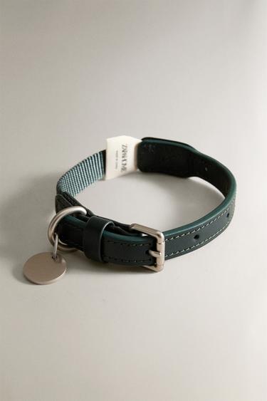 COLLIER UNI ANIMAUX DE COMPAGNIE - Vert de Zara - Image 4