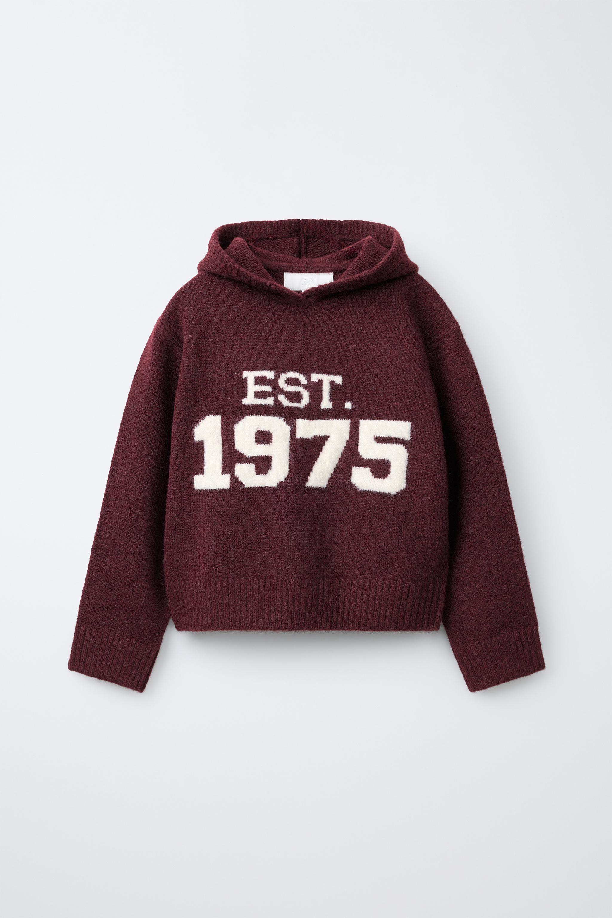 PRINTED HOODED JUMPER - Burgundy | ZARA United States