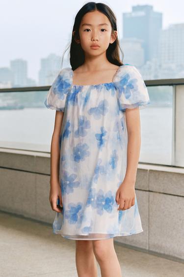 Zara 花卉印花烏干紗洋裝 - 裸色 / 藍色