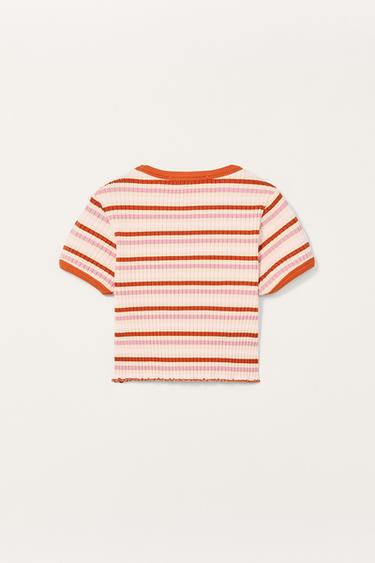 LIMITED EDITION STRIPED CROPPED T-SHIRT - Multicoloured by Zara - Image 6