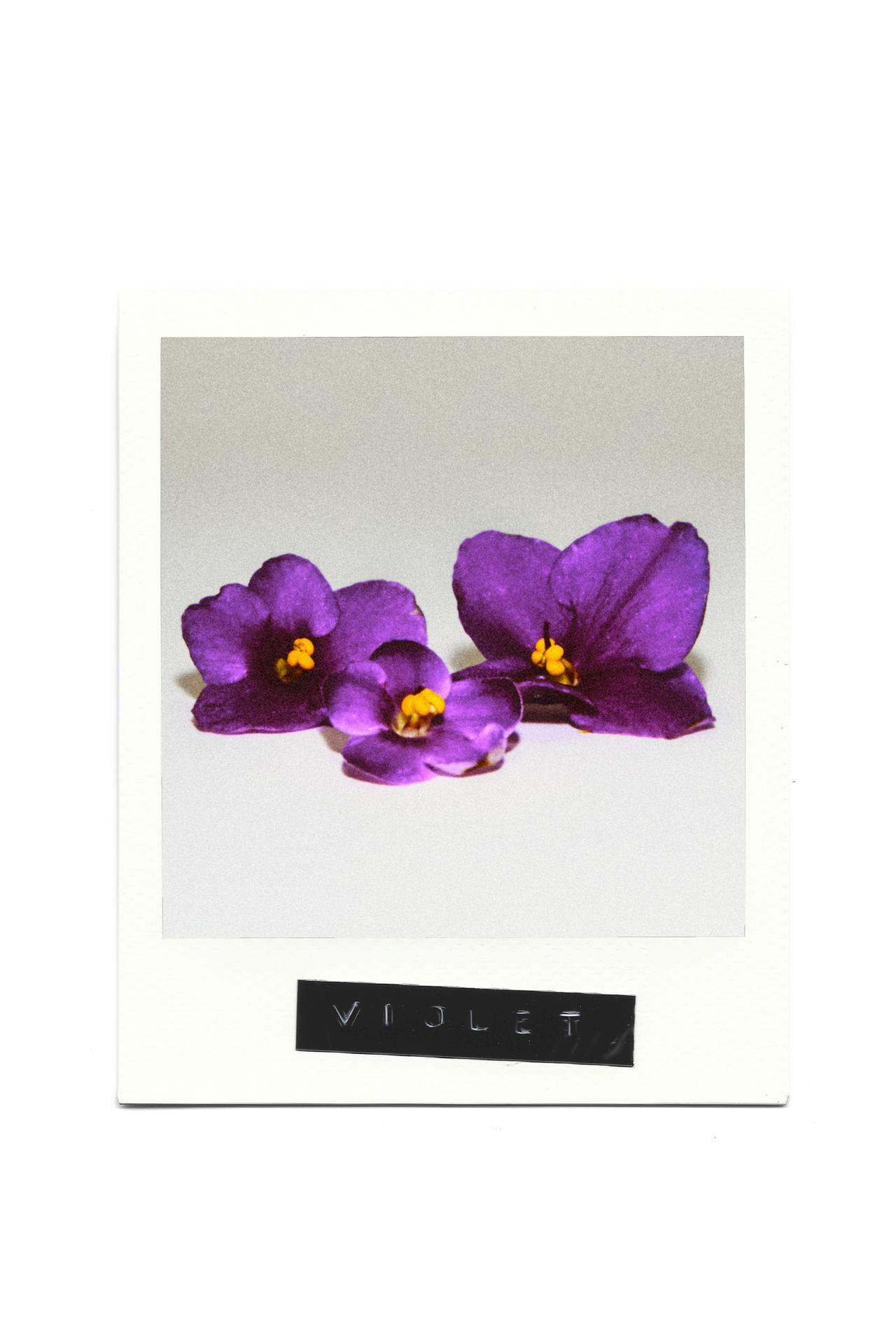 TUBEROSE WINTER EDT 90 ML (3.04 FL. OZ). — TINTED LEATHER