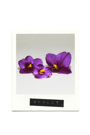 TUBEROSE WINTER EDT 90 ML (3.04 FL. OZ). — TINTED LEATHER 1