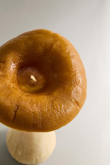 LARGE PUMPKIN SPICE SCENTED MUSHROOM CANDLE - Pumpkin by Zara - Image 1