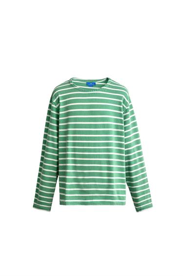 Zara AARON LEVINE X ZARA JACQUARD STRIPED T-SHIRT - Green / Ecru