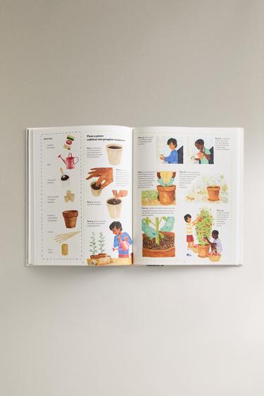 LIVRE POUR ENFANTS LES COMPÉTENCES OUBLIÉES (ESPAGNOL) - Multicolore de Zara - Image 4