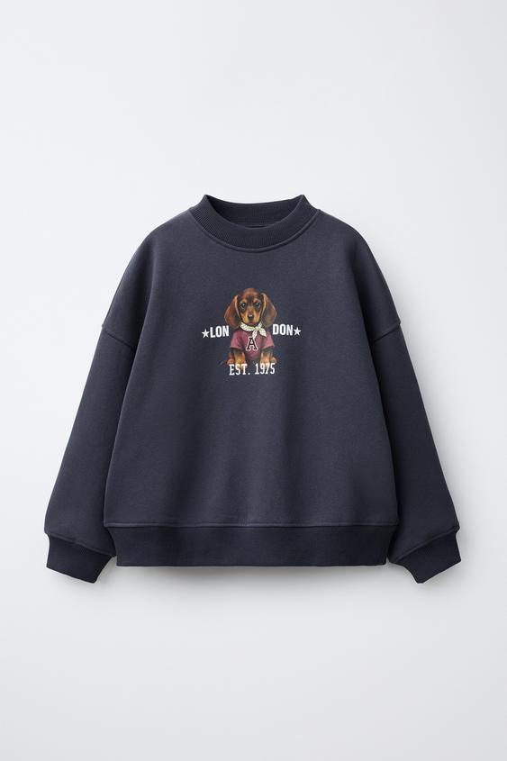 SUDADERA ESTAMPADO PERRO - Azul de Zara - Imagen 0