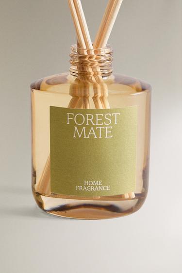 (100 ML) DIFFUSEUR DE PARFUM D’AMBIANCE À BÂTONNETS FOREST MATE - Vert clair de Zara - Image 3
