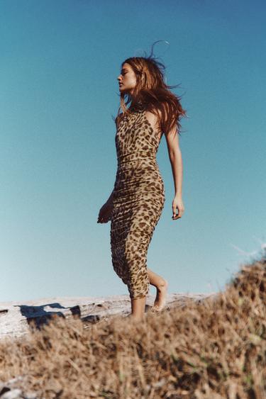 Zaras DJURMÖNSTRAD TYLLKLÄNNING - Leopard