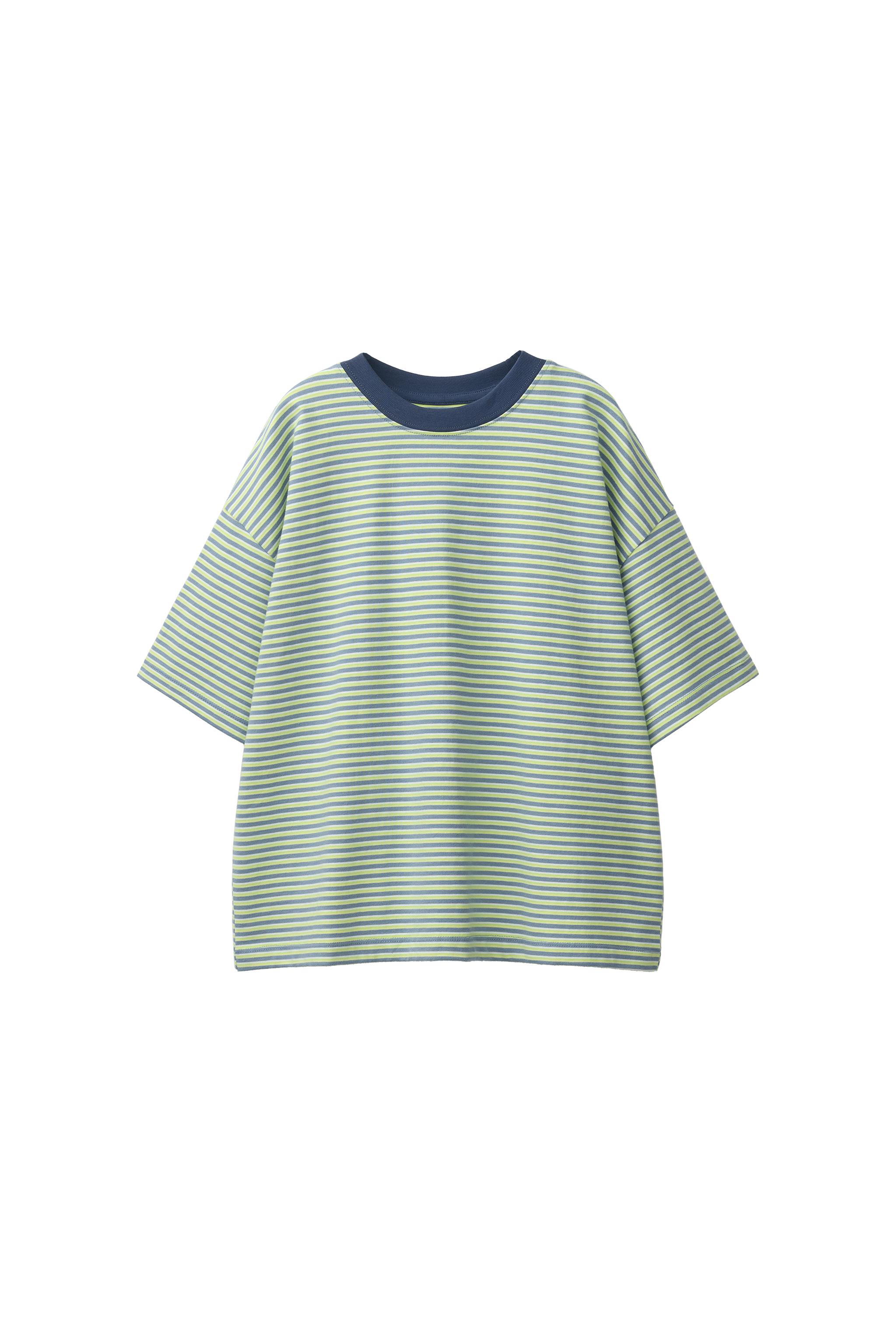 HEAVYWEIGHT STRIPED T-SHIRT - Green stripe | ZARA Canada