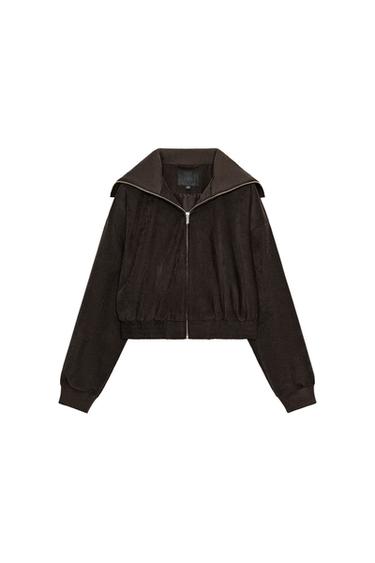 CAZADORA CORTA CUELLO RIB - Marrón oscuro de Zara
