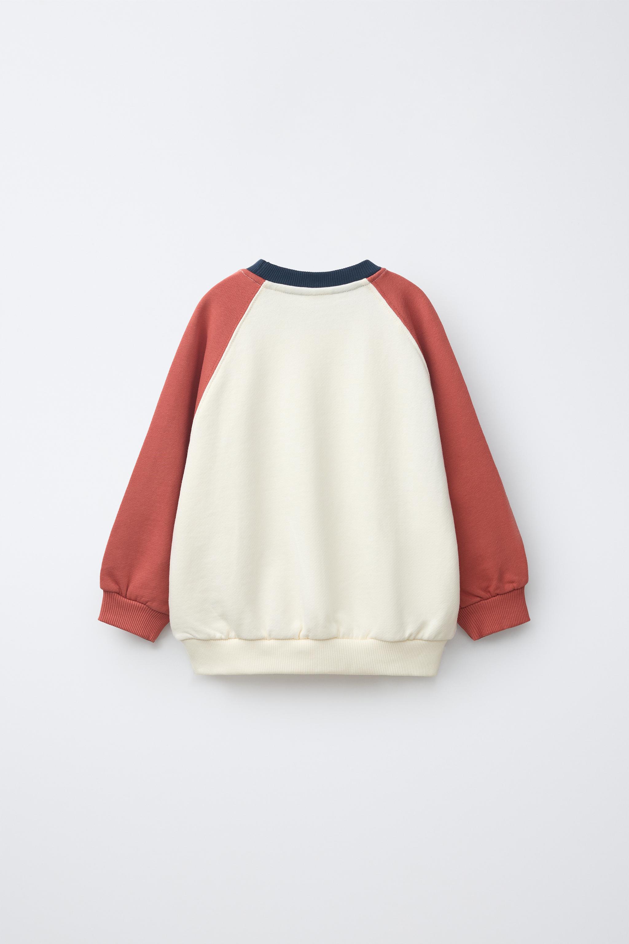 RAGLAN SLEEVE SWEATSHIRT WITH LABEL - Ecru | ZARA United States