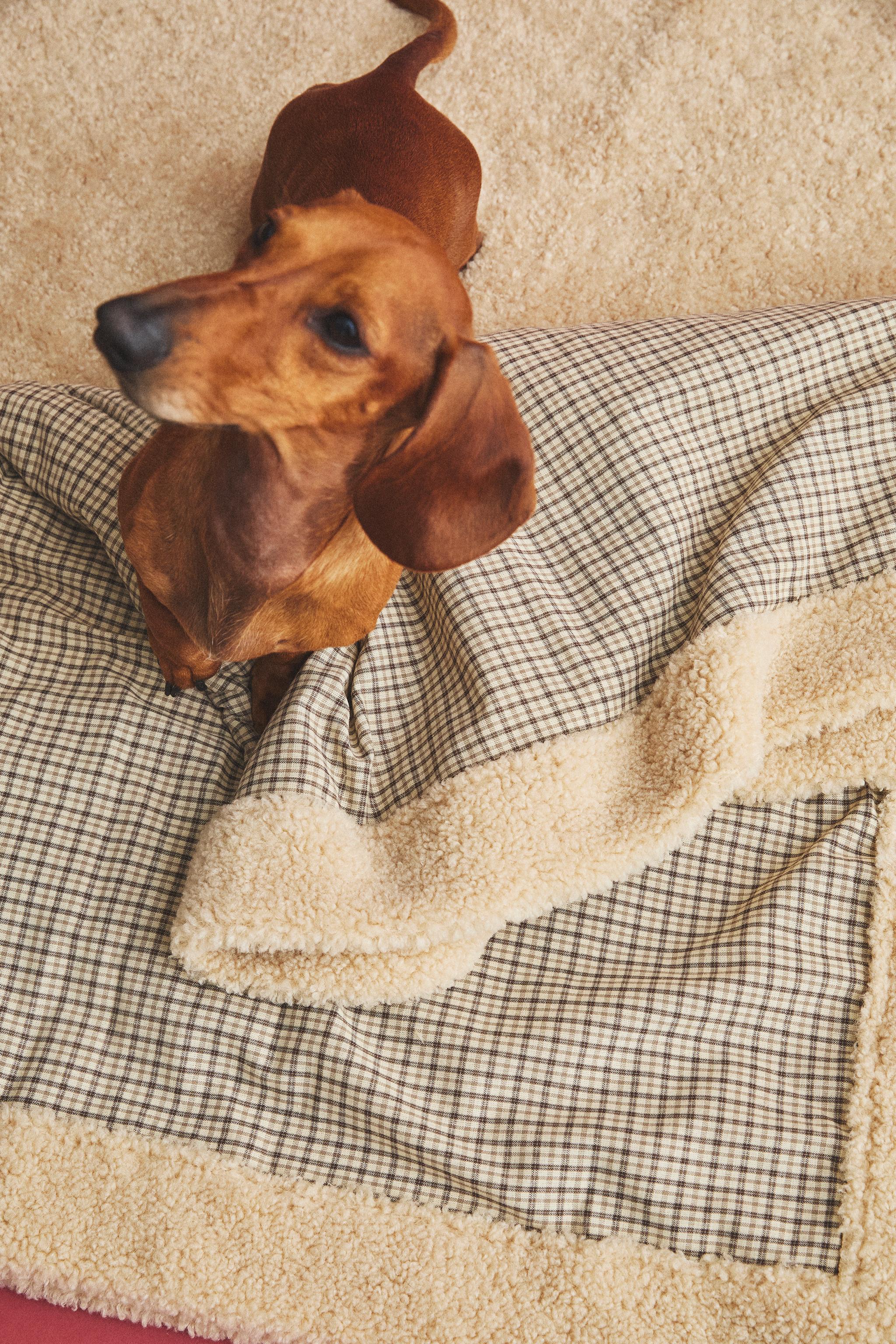 Pet Beds and Accessories | ZARA United States
