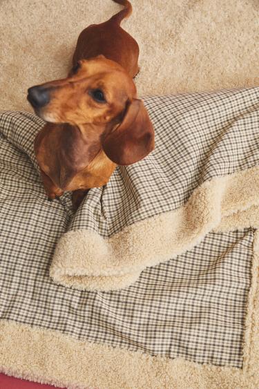 COUVERTURE CARREAUX PETITS ANIMAUX DE COMPAGNIE - Écru de Zara