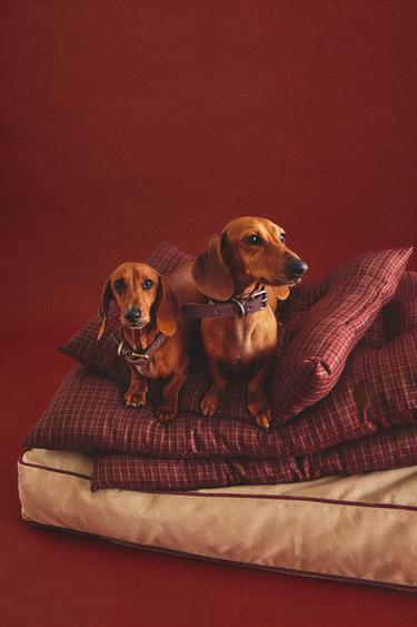 CHECK CHRISTMAS PET FLOOR CUSHION - Каштановий Zara