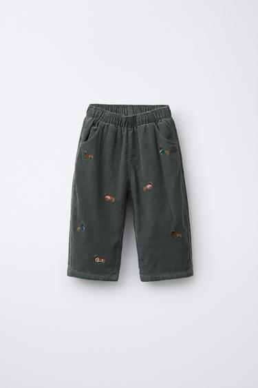 PANTALÓN MICROPANA FORRADO BORDADOS - Verde / Azul de Zara - Imagen 0