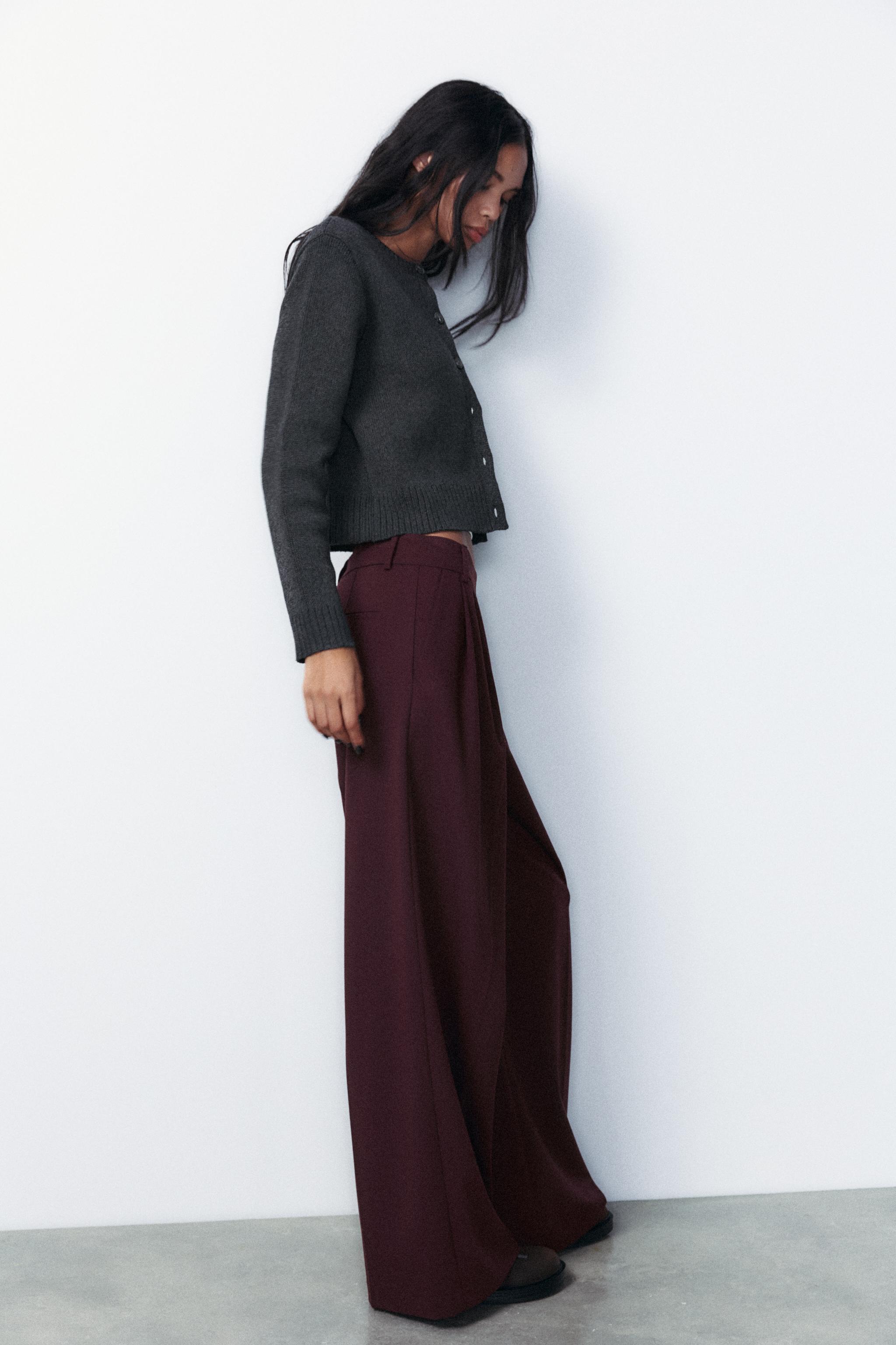 ダブルプリーツパンツ - チョコレートブラウン | ZARA Japan / 日本