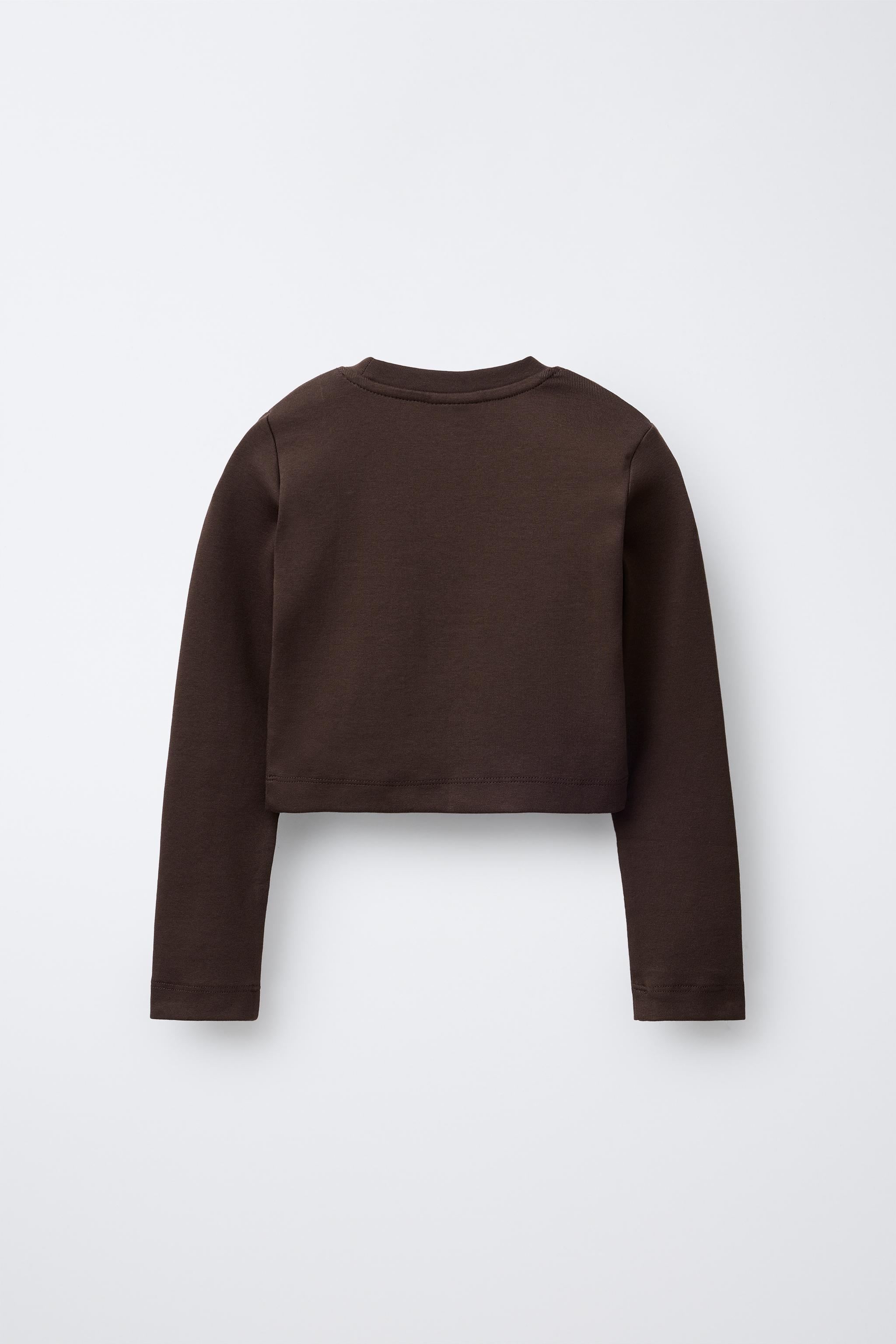 ベーシッククロップド丈Tシャツ - ブラウン | ZARA Japan / 日本