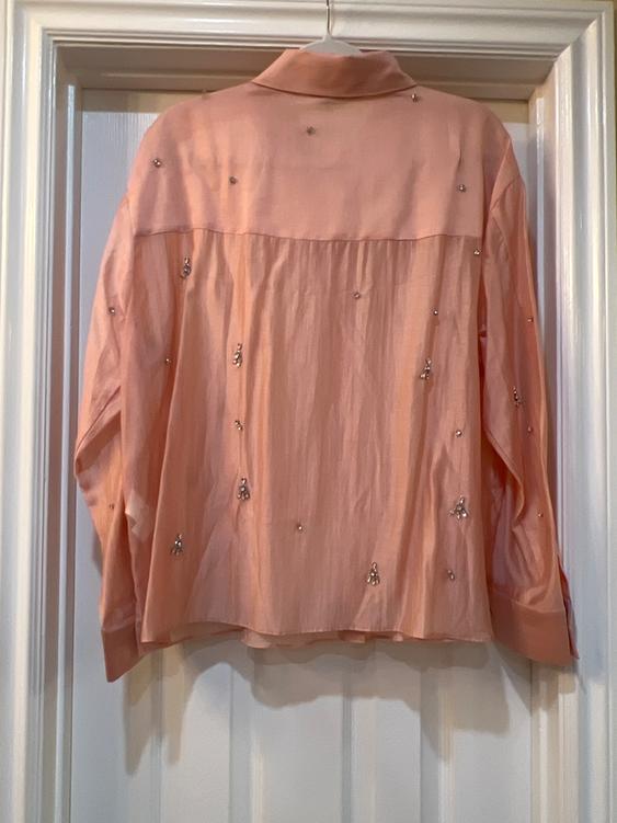 Light pink satin shirt with rhinestone details hanging on a hanger over a white door.