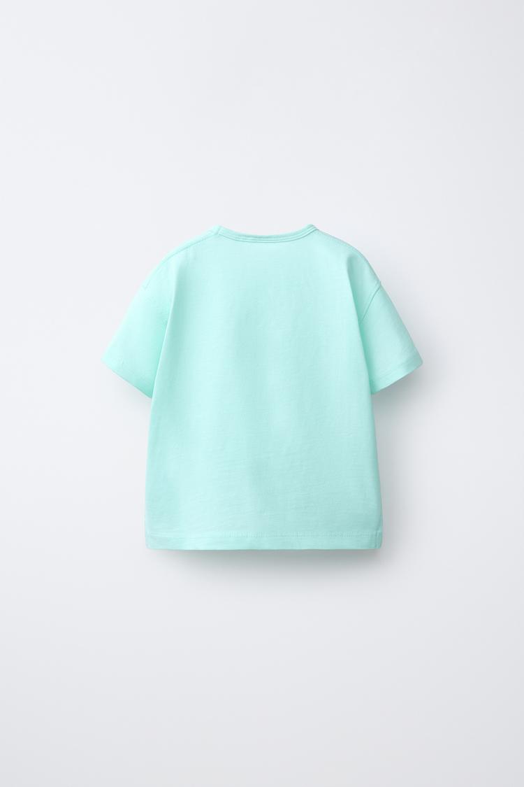 Camiseta lisa 2