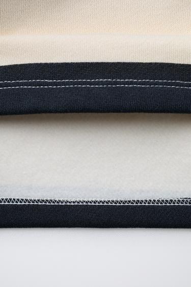 POLO À RAYURES IMPRIMÉ CHIEN - Gris de Zara - Image 3