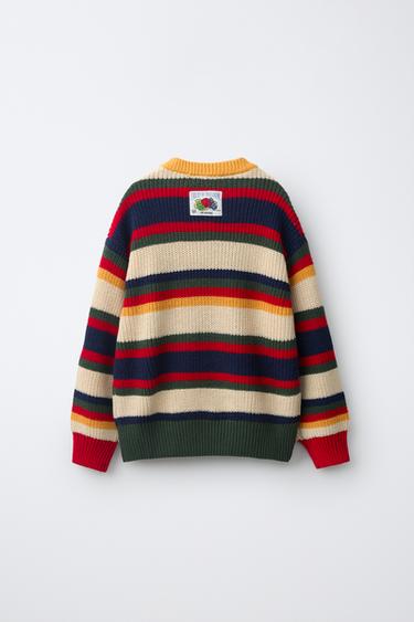 كنزة محبوكة مخطّطة Fruit of the Loom™ - متعدد الألوان الخاص بـ Zara