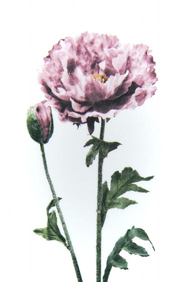 حزمة - أصفر الخاص بـ Zara