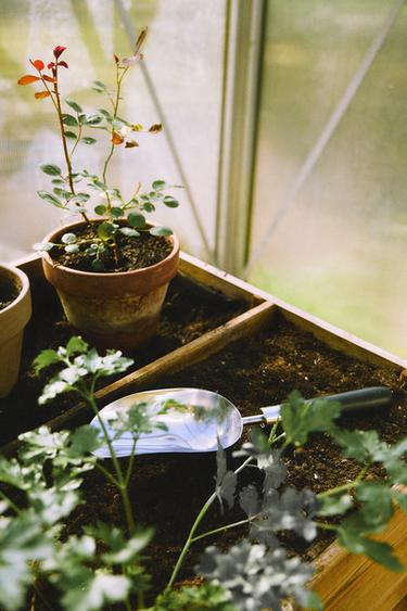 CUILLÈRE DE JARDIN - Marron foncé de Zara - Image 4