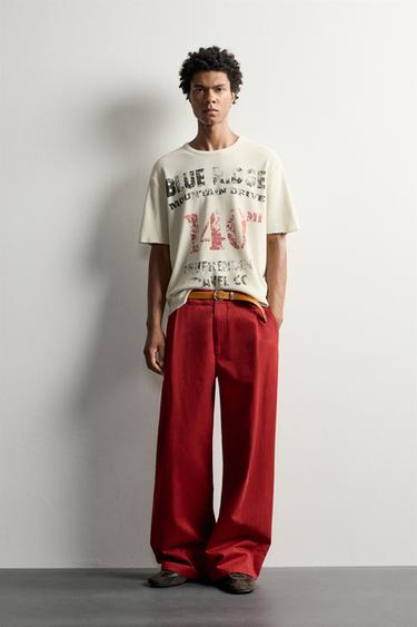 WASHED PRINT KNIT T-SHIRT - Stone by Zara - Image 0
